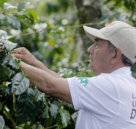 destacada-intena-Unidos-por-una-caficultura-mas-sostenible-2